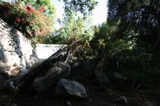 Enlarge photo 343