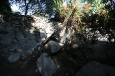 Enlarge photo 344