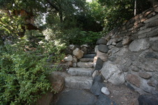 Enlarge photo 345