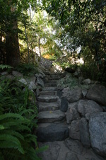 Enlarge photo 346