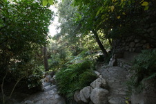 Enlarge photo 347