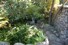 Enlarge photo 348