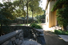 Enlarge photo 350