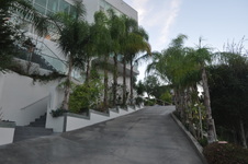 Enlarge photo 65