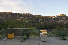 Enlarge photo 71