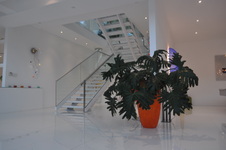 Enlarge photo 84