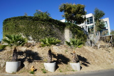 Enlarge photo 6