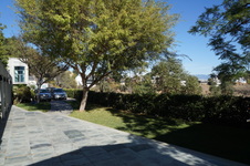 Enlarge photo 35