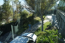 Enlarge photo 165