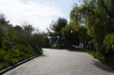 Enlarge photo 11