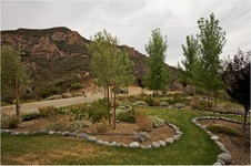 Enlarge photo 163