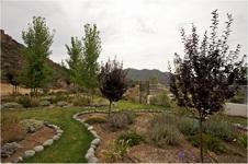 Enlarge photo 171
