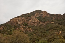Enlarge photo 173