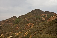 Enlarge photo 174