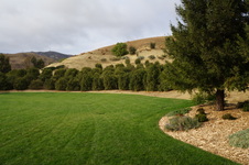 Enlarge photo 92
