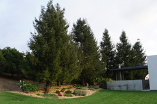 Enlarge photo 114