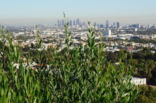 Enlarge photo 75