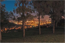 Enlarge photo 66