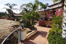 Enlarge photo 138