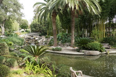 Enlarge photo 57