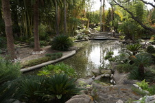 Enlarge photo 58
