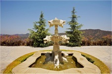 Enlarge photo 25