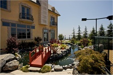 Enlarge photo 113
