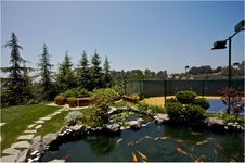 Enlarge photo 111