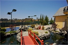 Enlarge photo 118