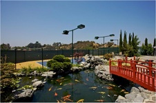 Enlarge photo 116