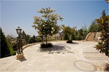 Enlarge photo 135