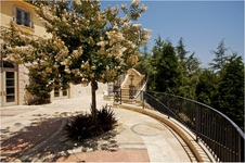 Enlarge photo 141