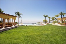 Enlarge photo 171