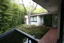 Enlarge photo 66