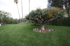 Enlarge photo 98