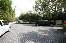 Enlarge photo 135
