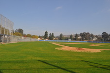 Enlarge photo 145