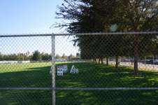 Enlarge photo 66