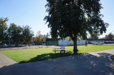 Enlarge photo 70