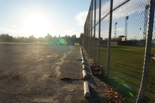 Enlarge photo 83