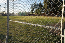 Enlarge photo 84