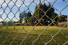 Enlarge photo 85