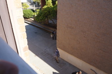 Enlarge photo 67