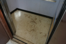 Enlarge photo 84