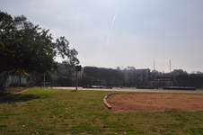Enlarge photo 116