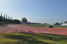 Enlarge photo 125