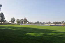 Enlarge photo 132
