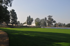Enlarge photo 134