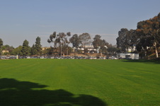 Enlarge photo 139