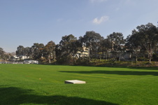 Enlarge photo 140